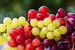 Photos provided by https://pixabay.com/ grapes, fruit, cluster, grape, fresh fruits, fresh, fresh grapes, harvest, products, bio, ripe, ripe grapes, cute, food, healthy, vitamins, grapes, grapes, fruit, fruit, fruit, fruit, fruit